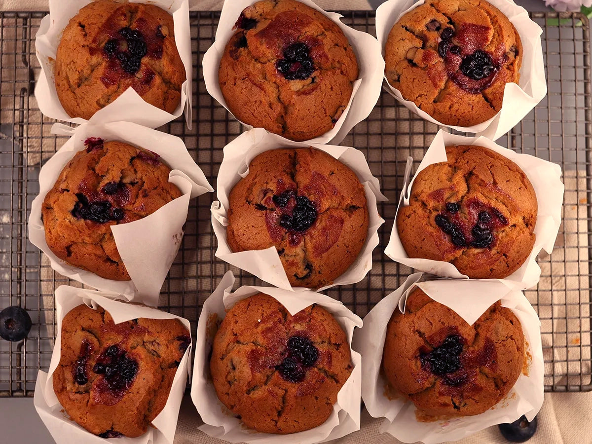 BLUEBERRY MUFFINS BOX 9